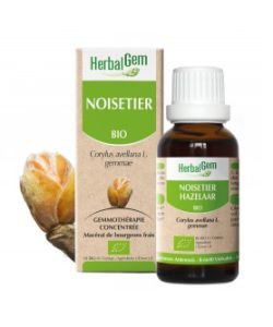 Noisetier (Corylus avellana) bourgeon BIO, 15 ml